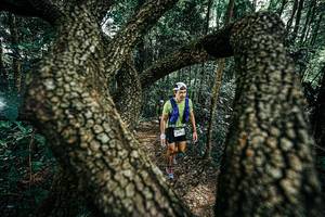 BIB: 
                            <button type="button" onclick="openModal(25392494)" class="btn btn-primary btn-sm float-right btn-popup" data-toggle="modal" data-target=".modal-high-quality">
                        <i class="fas fa-shopping-cart"></i> Add to Cart
                    </button>
                                            <button type="button" onclick="isThisMe(25392494, true)" class="btn btn-success btn-sm float-right btn-popup btn-isme hidden" data-toggle="tooltip" data-placement="bottom" title="นี่คือรูปของคุณใช่ไหม คลิกที่นี่เพื่อเอาเข้าอัลบั้ม">
                        <i class="fas fa-plus"></i> Add to album
                    </button>
                    <button type="button" onclick="isThisMe(25392494, false)" class="btn btn-warning btn-sm float-right btn-popup btn-isnotme hidden">
                        <i class="fas fa-ban"></i> Remove from album
                    </button>